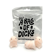 Load image into Gallery viewer, Enjoy a Bag of Dicks