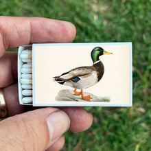 Load image into Gallery viewer, Matches • Mallard Duck • Home Decor for Candles and Incense
