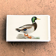 Load image into Gallery viewer, Matches • Mallard Duck • Home Decor for Candles and Incense