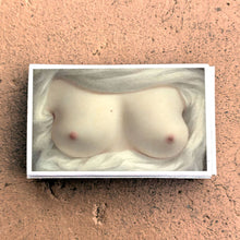 Load image into Gallery viewer, Matches • Art •  Beauty Revealed Goodridge • Home Decor