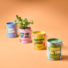 Load image into Gallery viewer, Complimentary Color Grow Kits