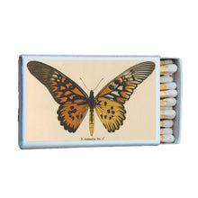 Load image into Gallery viewer, Matches • Butterfly Antimachus • Home Decor for Candles