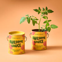 Load image into Gallery viewer, Complimentary Color Grow Kits
