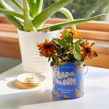 Load image into Gallery viewer, Complimentary Color Grow Kits
