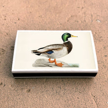 Load image into Gallery viewer, Matches • Mallard Duck • Home Decor for Candles and Incense