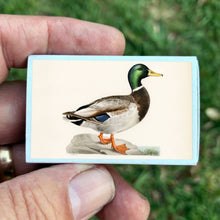 Load image into Gallery viewer, Matches • Mallard Duck • Home Decor for Candles and Incense