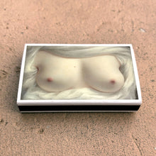 Load image into Gallery viewer, Matches • Art •  Beauty Revealed Goodridge • Home Decor