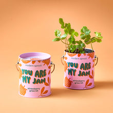 Load image into Gallery viewer, Complimentary Color Grow Kits