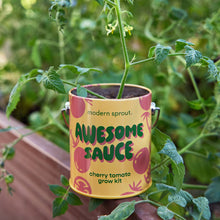 Load image into Gallery viewer, Complimentary Color Grow Kits
