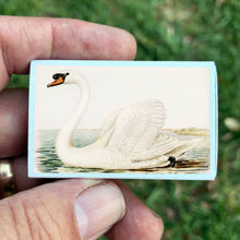 Load image into Gallery viewer, Matches • Swan Matchboxes • Home Decor for Candles &amp; Incense